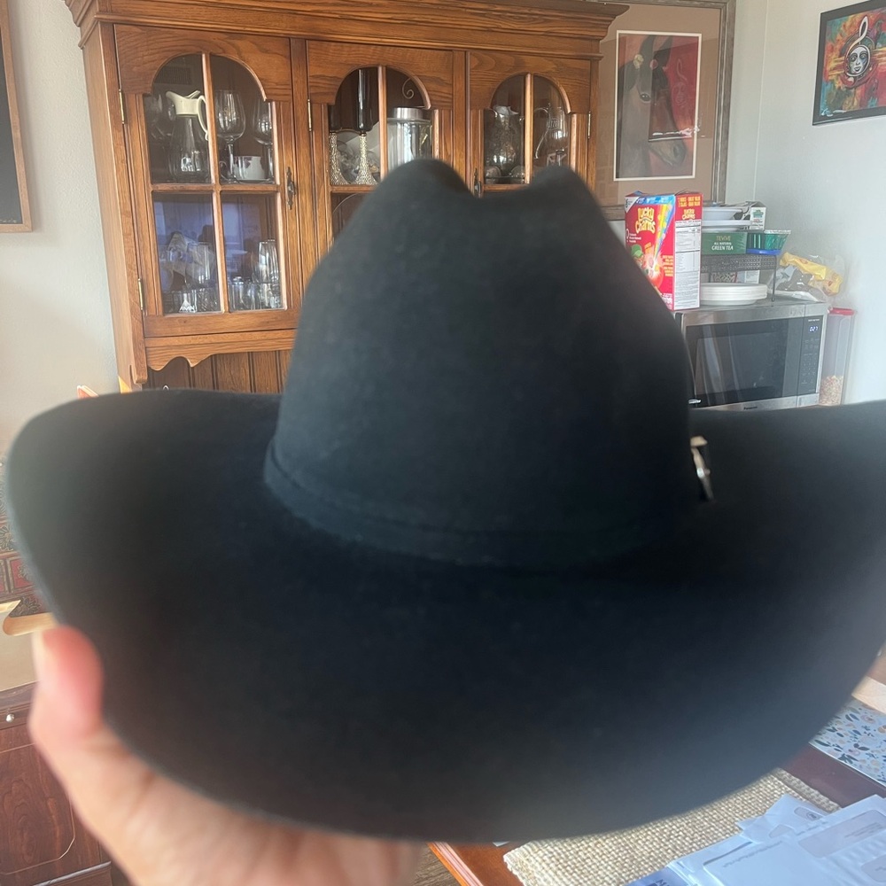 Sleek Black Men's Fedora